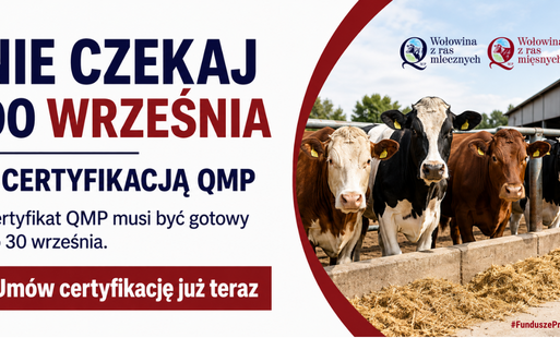 Certyfikat jakości bydła, przedstawiający szczegóły dotyczące hodowli i oceny zwierząt.